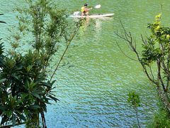 -广州市流溪河国家森林公园