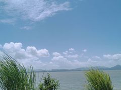 -深圳湾公园(南山区)
