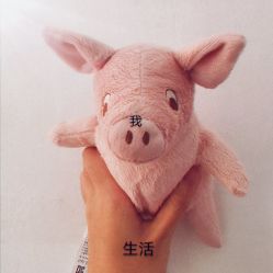 -La Rose·轻奢皮肤管理
