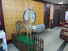 店内环境-老百姓大药房(江南店)