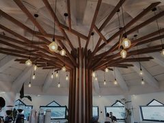 -ChanDu躔度咖啡(灯塔店)