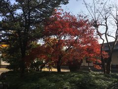 -北寺塔