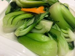 炒上海青-清真益鑫羊肉手抓馆(南大街店)