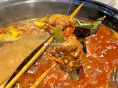 香菜牛肉-钢管厂五区小郡肝火锅串串 Chuan Chuan hot pot