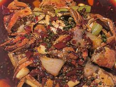 -杨氏青龙虾·羊蝎子(托乐嘉店)