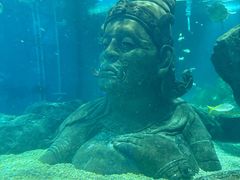 -暹罗海洋世界
