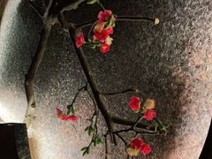 -大桶大足浴(汇臻店)