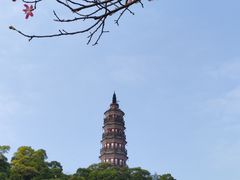 -顺峰山公园