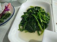 -云中小雅