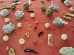 -前小桔亲子创意农场·草莓采摘·露营烧烤