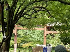 -杭州半山国家森林公园