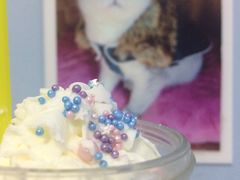 -喵的天空名猫咖啡馆·撸猫·猫舍·用品