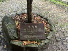 -太湖源风景区
