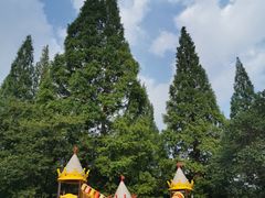 -白马涧龙池景区