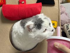 -麦当劳(展览路店)