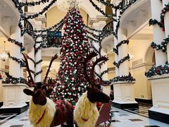 -Salon de Ville浦江汇(上海外滩华尔道夫酒店店)