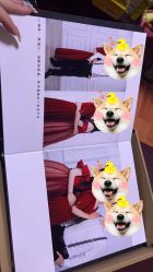 -韩慕婚纱摄影(九亭店)