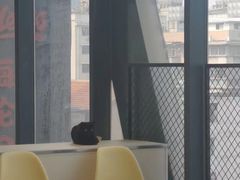 -怪兽屋·羊驼·猫咖·狗咖(俊华广场店)