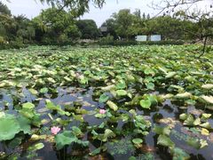 -无锡蠡湖国家湿地公园-蠡园