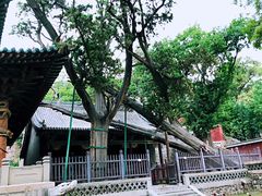 -晋祠公园