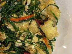 沙葱炒鸡蛋-阿西叶滩羊馆(交大店)