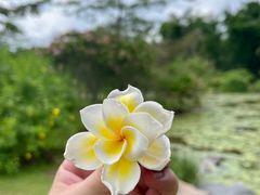 -中国科学院西双版纳热带植物园