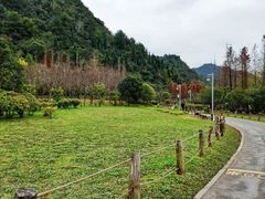-花溪公园