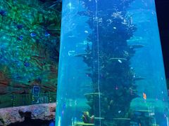 -青岛嘉年华主题乐园