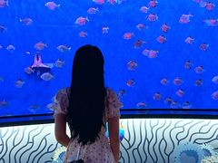 -沈阳海洋探索中心