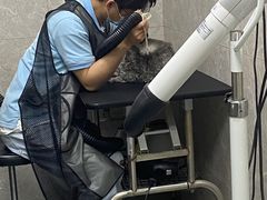 -瑞鹏宠物医院·骨外科·心肾科·肿瘤科(九亭店)