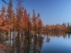 -白鹭湾湿地公园