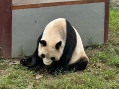 -杭州野生动物世界