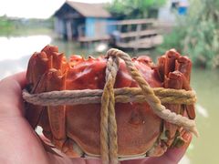 -喜洋洋蟹庄(阳澄湖店)
