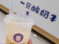 -一只酸奶牛(汕头金平万达广场店)