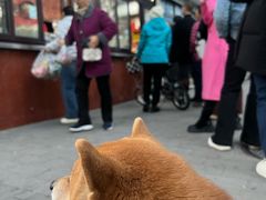 -栗满秋(燕丰西坝河店)