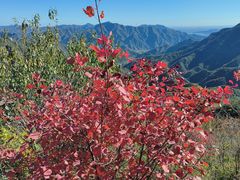 -大岭沟猕猴桃谷风景区