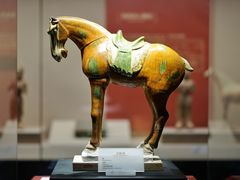 -宁夏博物馆