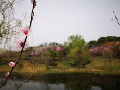 -紫金山索道-售票处
