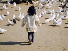 -南通洲际绿博园