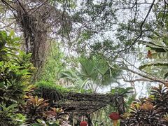 -海南热带野生动植物园