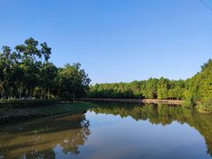 -上海海湾国家森林公园