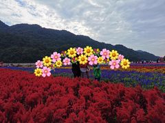 -广州市石门国家森林公园