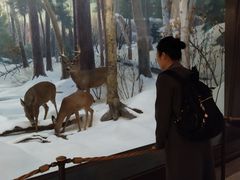 -美国自然历史博物馆