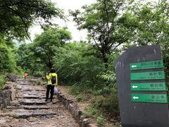 -阳台山自然风景区