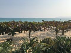 -三亚亚龙湾天域度假酒店