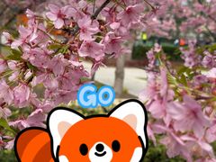 -新江湾城公园