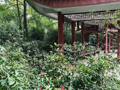 -南山植物园