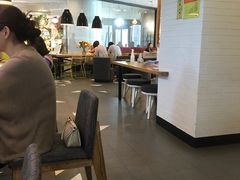 大堂-油梨树 AVOCADO TREE(亮马桥店)