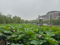 -中国计量大学(西校区)