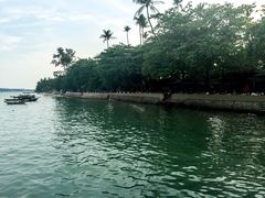 -珊瑚岛